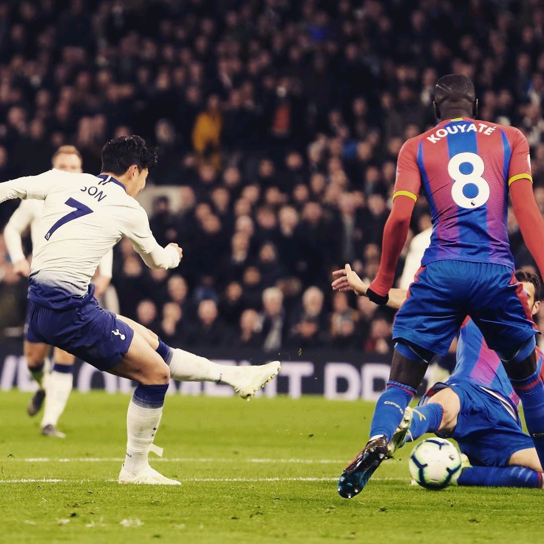 仅丰富了足 仅丰富了足